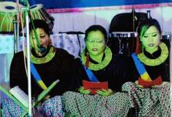 srbtcdarjeeling.com Photos