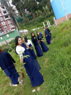 srbtcdarjeeling.com Photos
