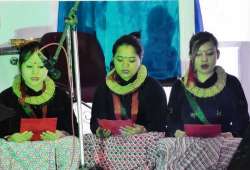 srbtcdarjeeling.com Photos