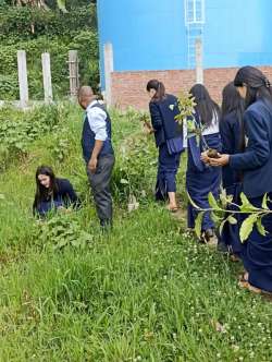 srbtcdarjeeling.com Photos